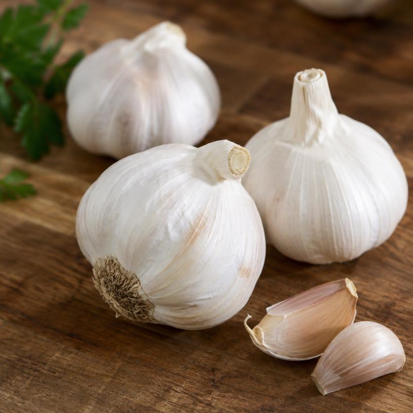 Fresh garlic